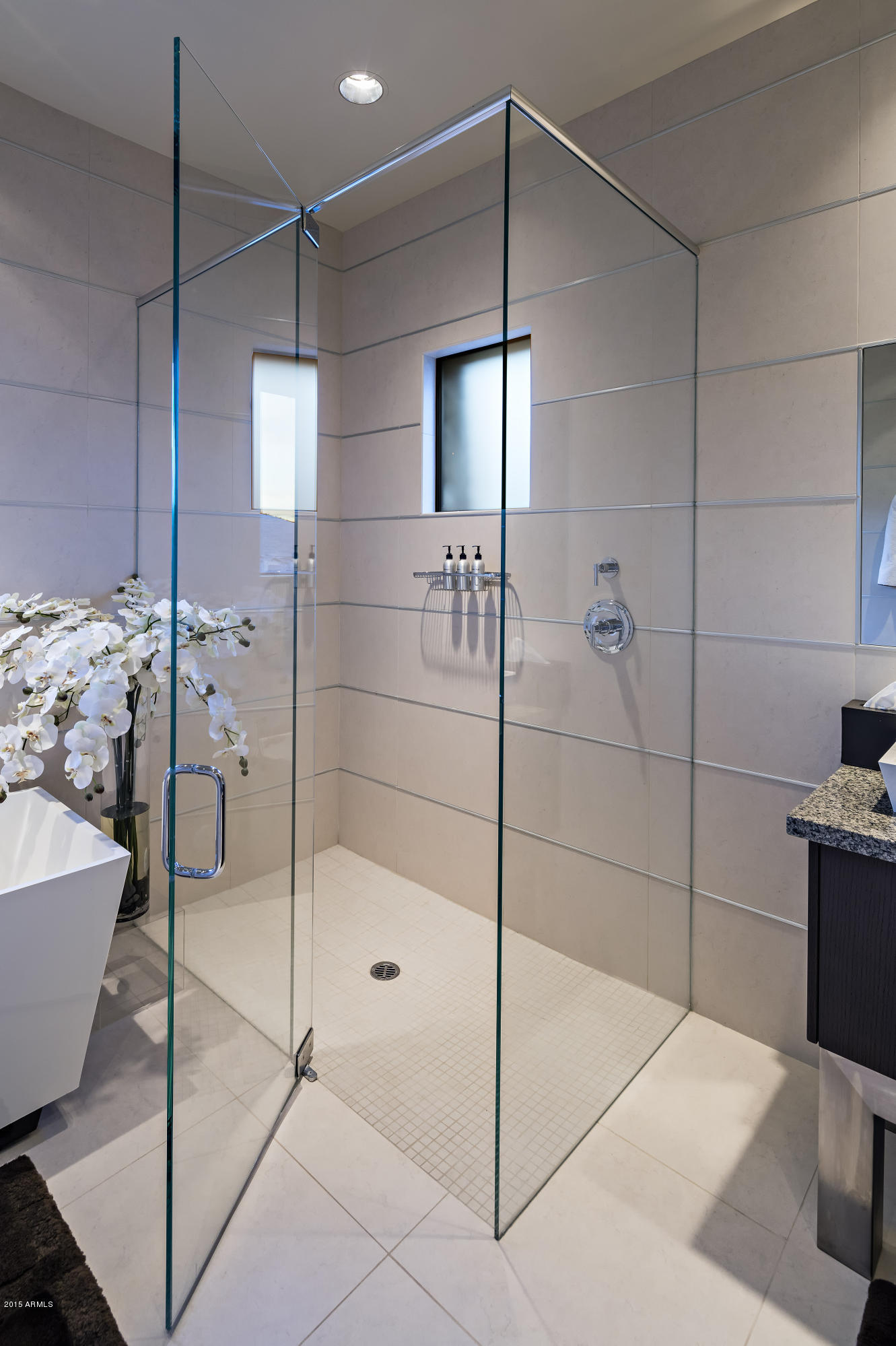 DESERT MOUNTAIN PHASE 3 UNIT 38 - Residential