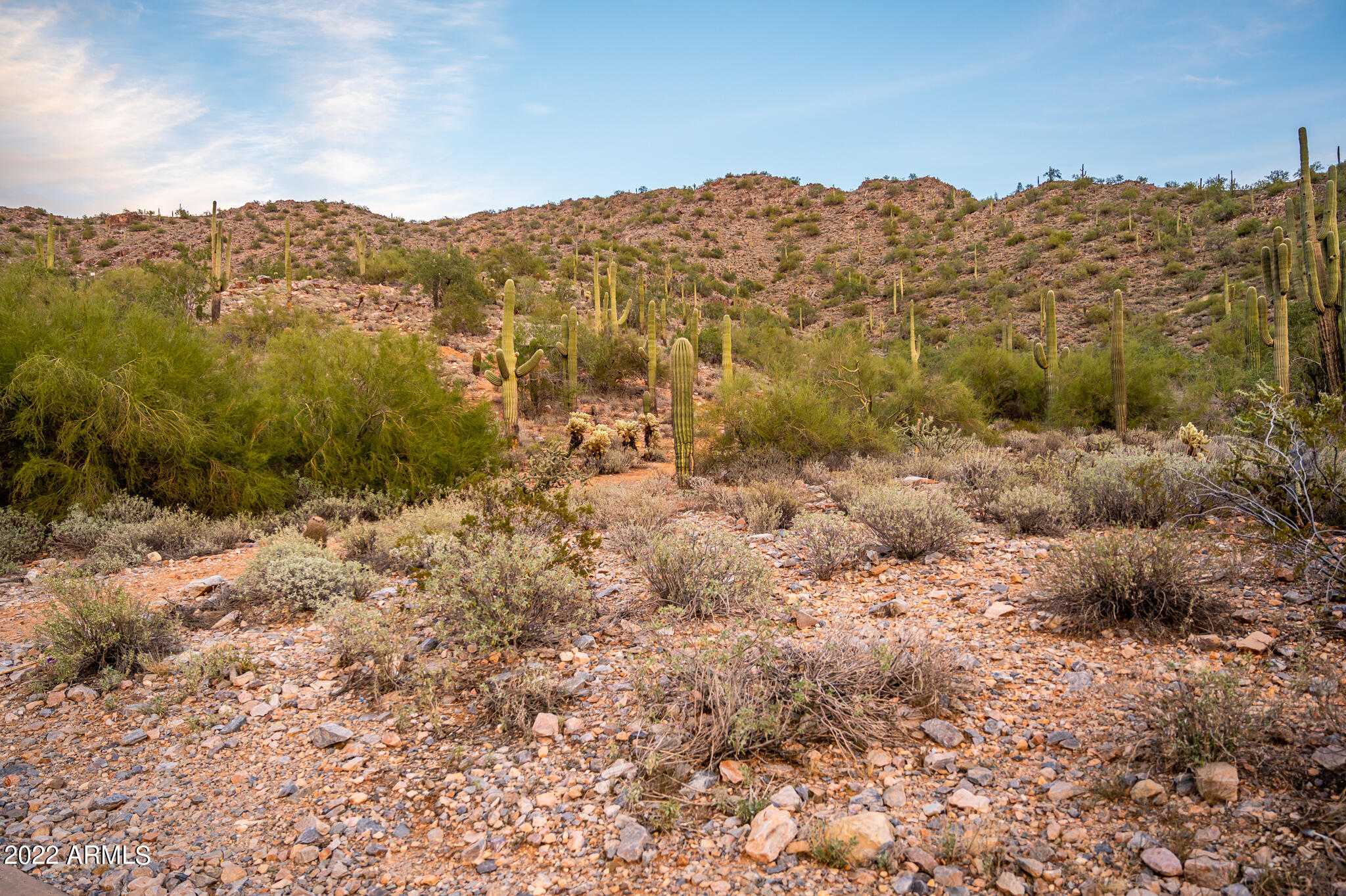 Silverleaf Horseshoe Canyon - Land