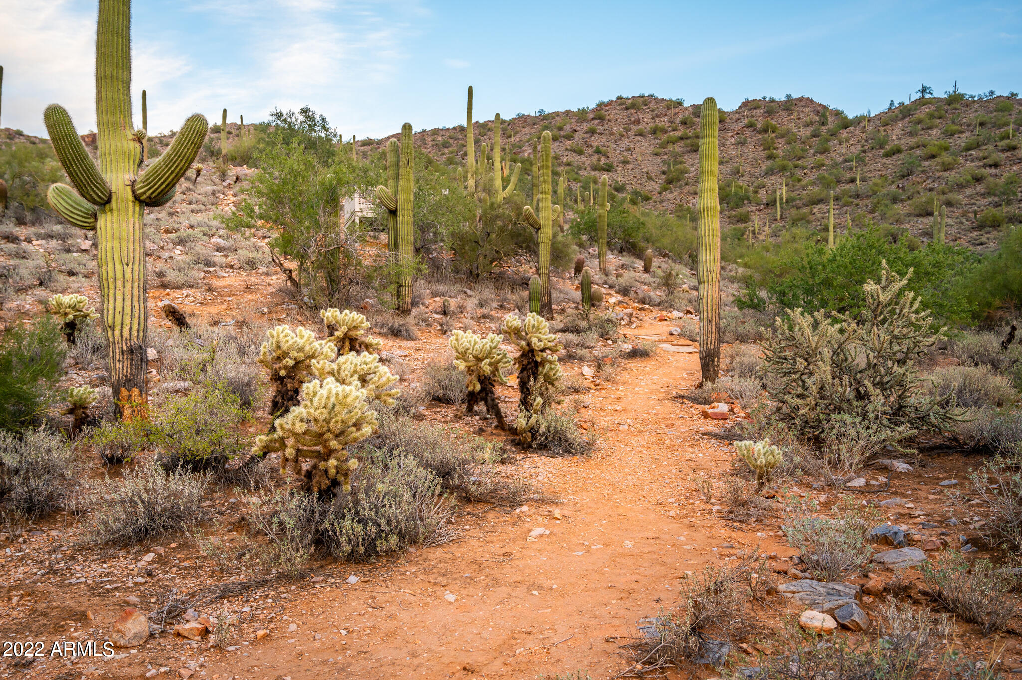 Silverleaf Horseshoe Canyon - Land