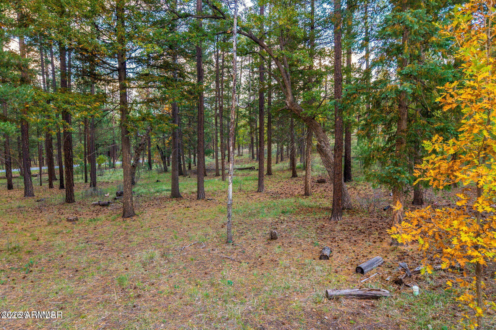 BEAUTIFULLY TIMBERED CORNER LOT FOR YOUR MOUNTAIN GET-AWAY HOME, WITH A VARIETY OF MATURE TRESS. ALL UTILITIES AVAILABLE AT THE LOT LINE, INCLUDING WATER, SEWER, ELECTRIC AND PHONE; COUNTY MAINTAINED ROAD FOR YEAR-ROUND LIVING, OR WINTER HOLIDAY VACATIONS. EASY WALKING AND/OR DRIVING TO THE FOREST.