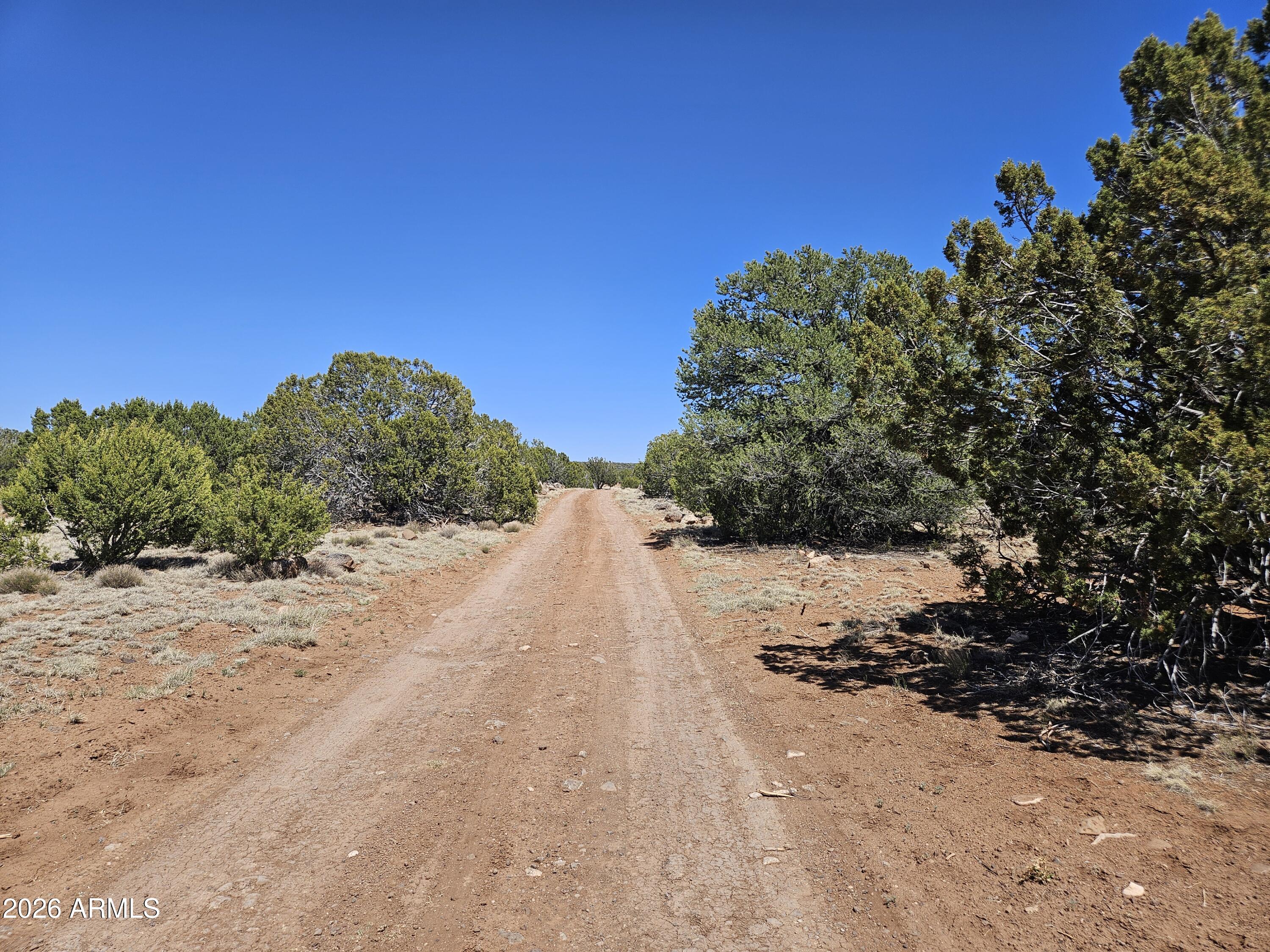 TAMARRON RANCH UNIT 10 - Land