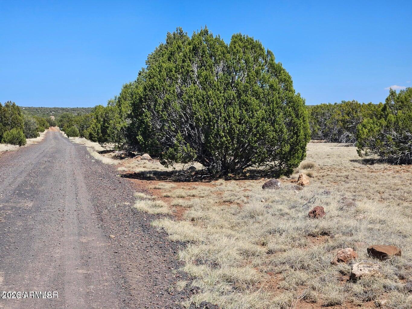 TAMARRON RANCH UNIT 10 - Land