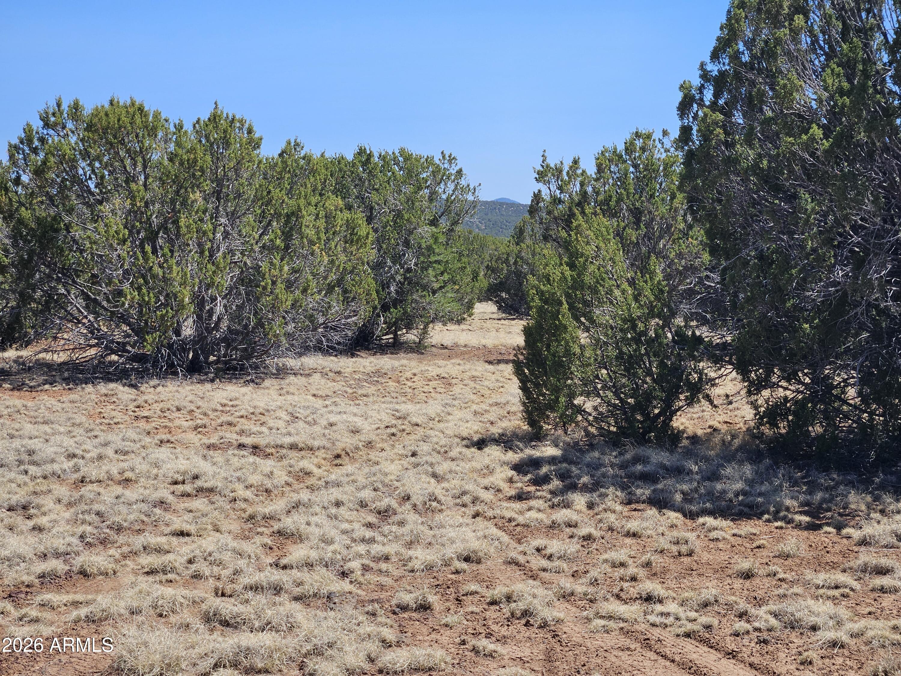 TAMARRON RANCH UNIT 10 - Land