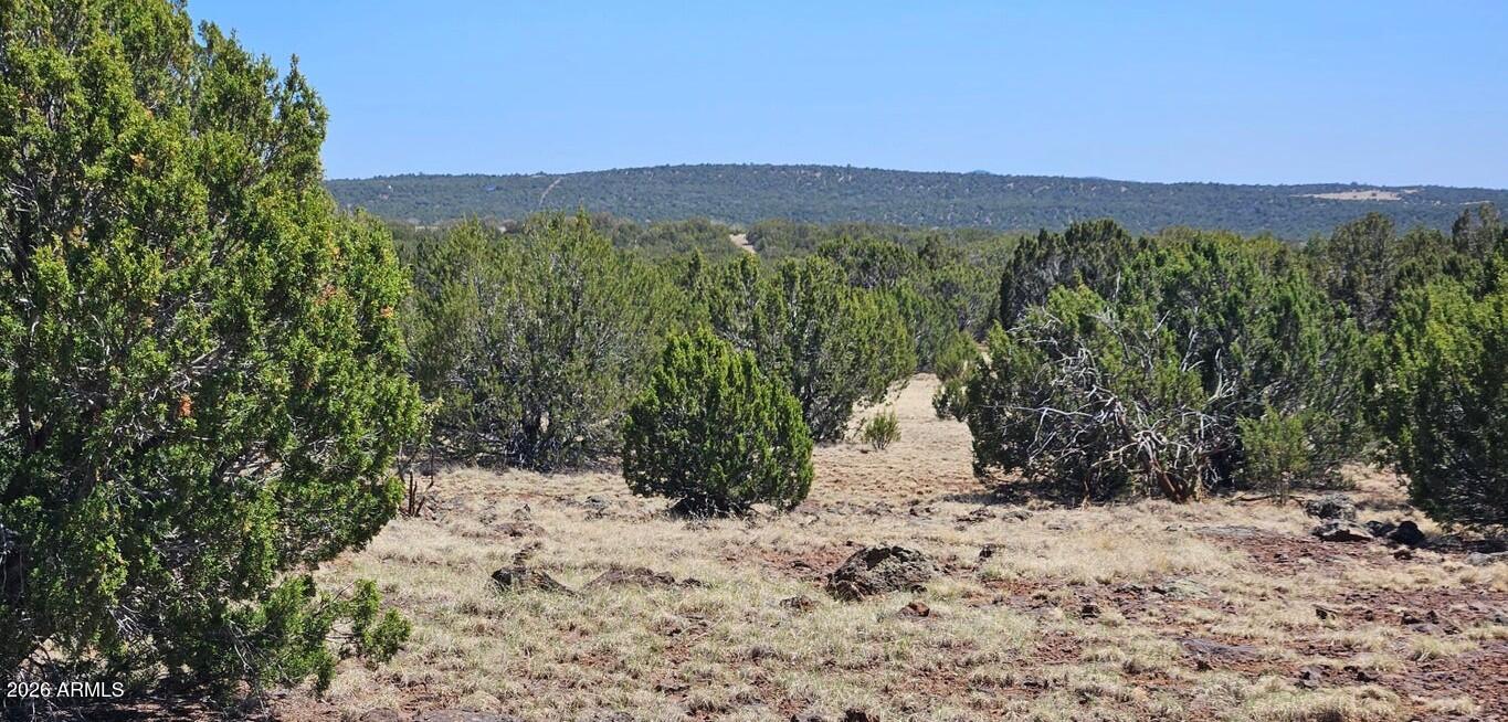 TAMARRON RANCH UNIT 10 - Land