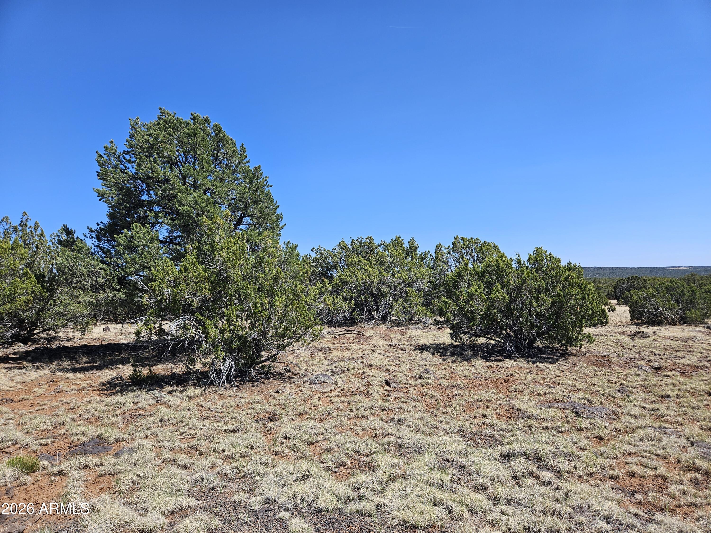 TAMARRON RANCH UNIT 10 - Land