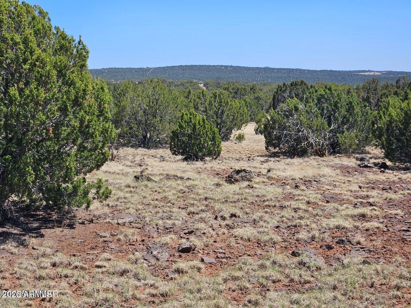 TAMARRON RANCH UNIT 10 - Land