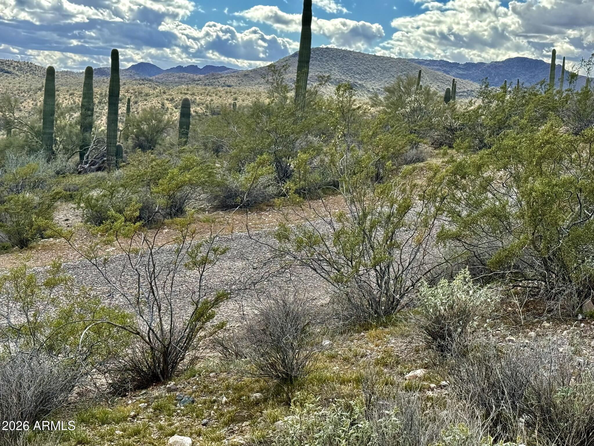 So many opportunities with this 3.73 acres in the heart of Morristown, Arizona. Ideally positioned just off US 60, this prime parcel offers exceptional accessibility while still delivering the wide-open space and tranquility that define the Arizona lifestyle. Electricity close by! With no HOA and no deed restrictions, you have the freedom to create your vision--whether that's a custom-built home, winter retreat, equestrian setup, or long-term investment hold. Enjoy a central location with convenient access to Wickenburg's world-renowned roping arenas, endless outdoor recreation at Lake Pleasant, and the rapidly expanding employment corridor anchored by the new TSMC semiconductor facility. As growth continues to move northwest from the Valley, this area is poised for exciting future development and increasing demand. Whether you're seeking space to build, invest, or simply secure land in one of Arizona's most promising growth corridors, this is a rare opportunity to own acreage with flexibility, location, and long-term potential.