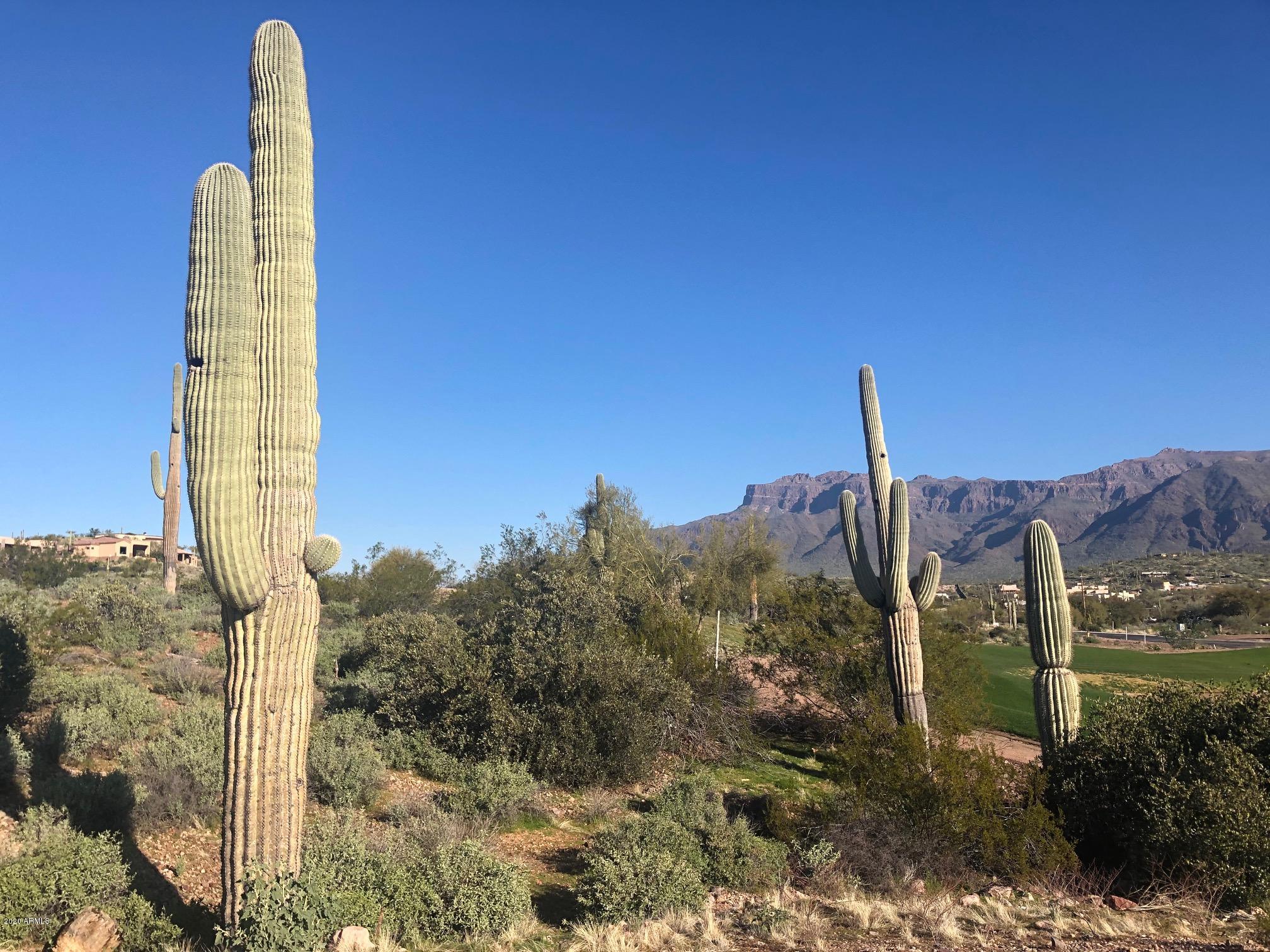 GOLD CANYON EAST PARCEL 9 2017005048 Lot 13 - Land