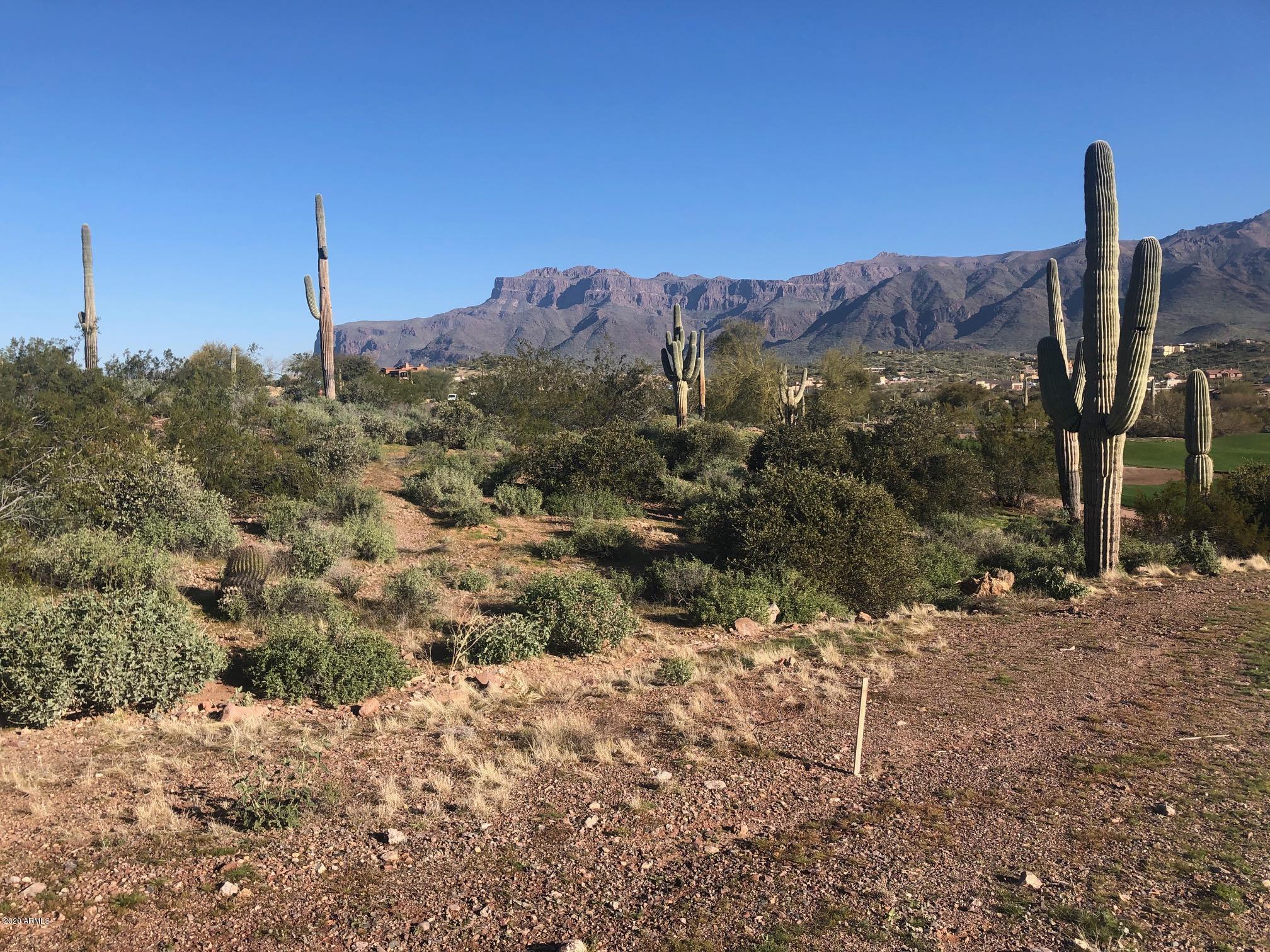 GOLD CANYON EAST PARCEL 9 2017005048 Lot 13 - Land