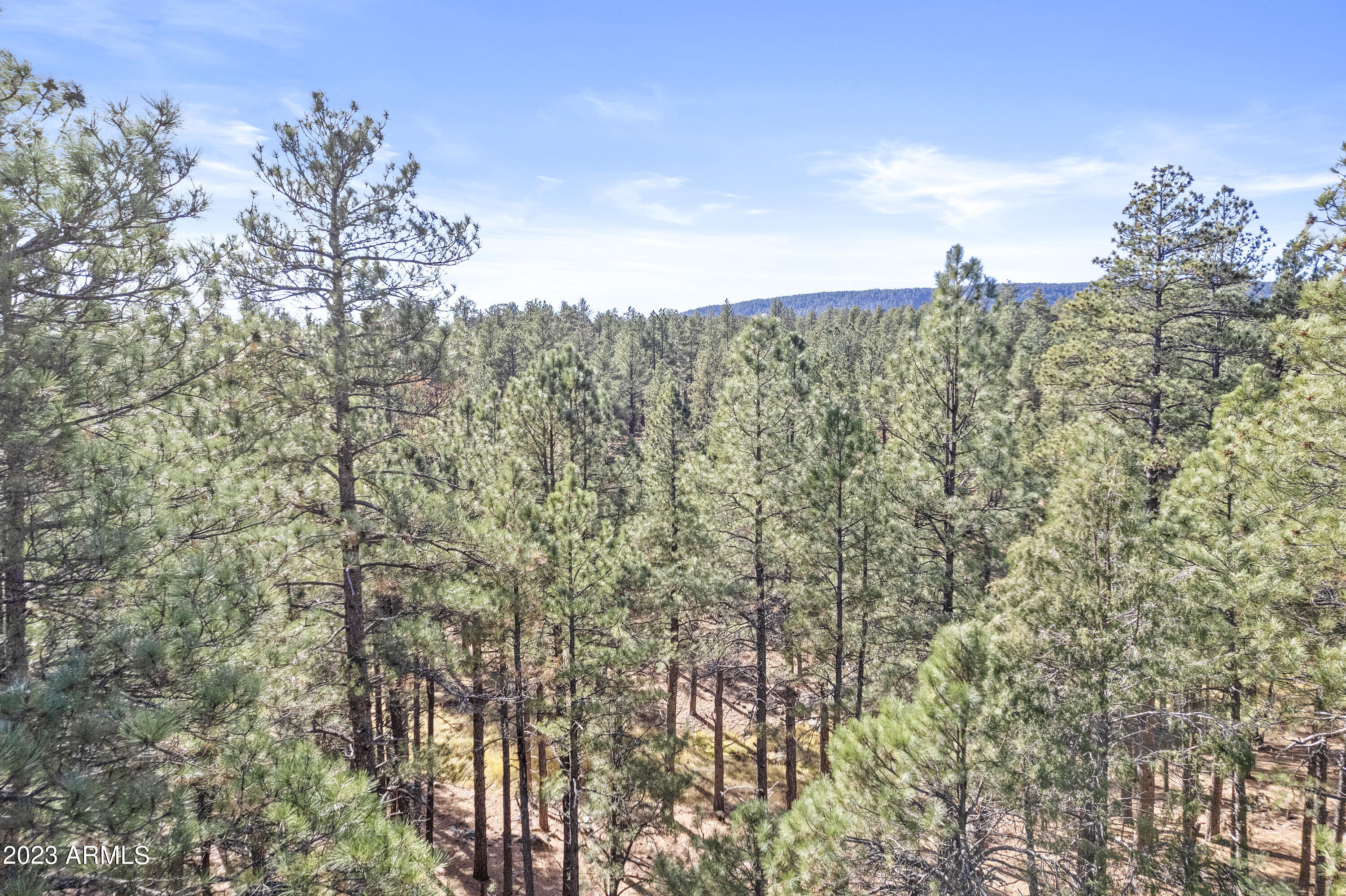 Forest Highlands - Residential