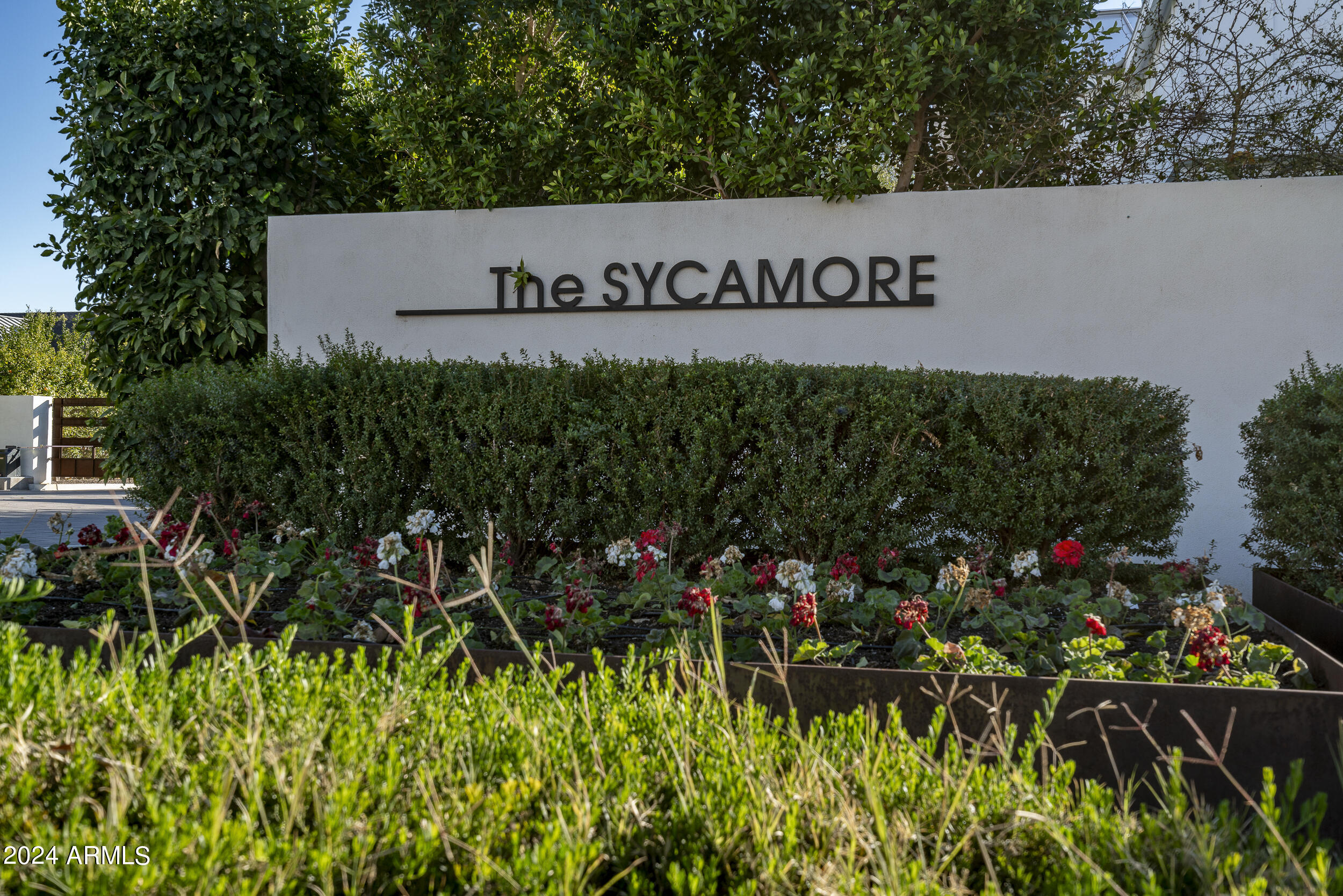 The Sycamore - Residential
