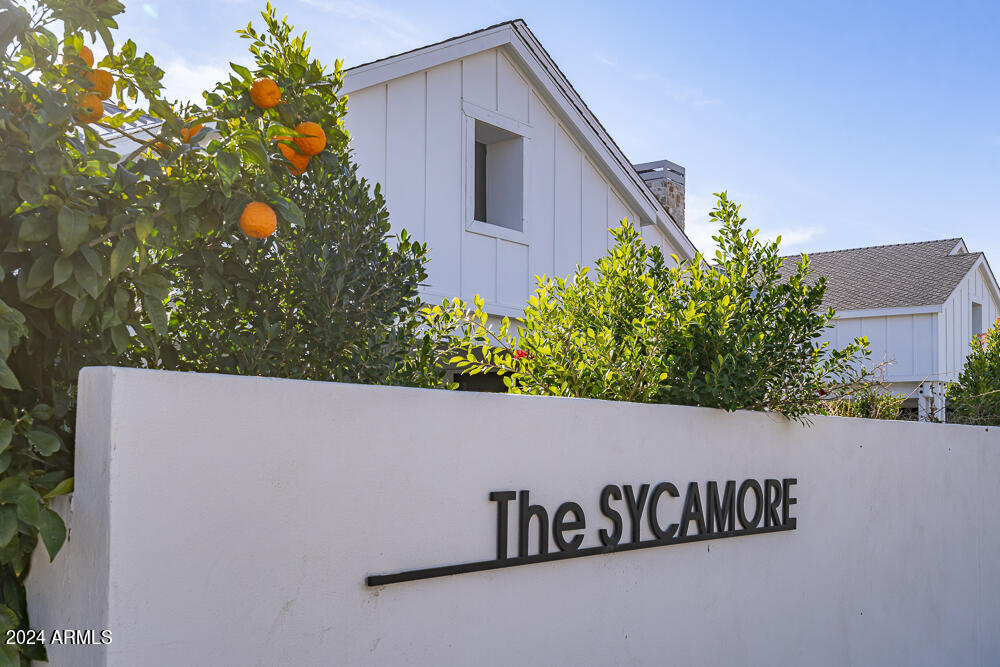 The Sycamore - Residential
