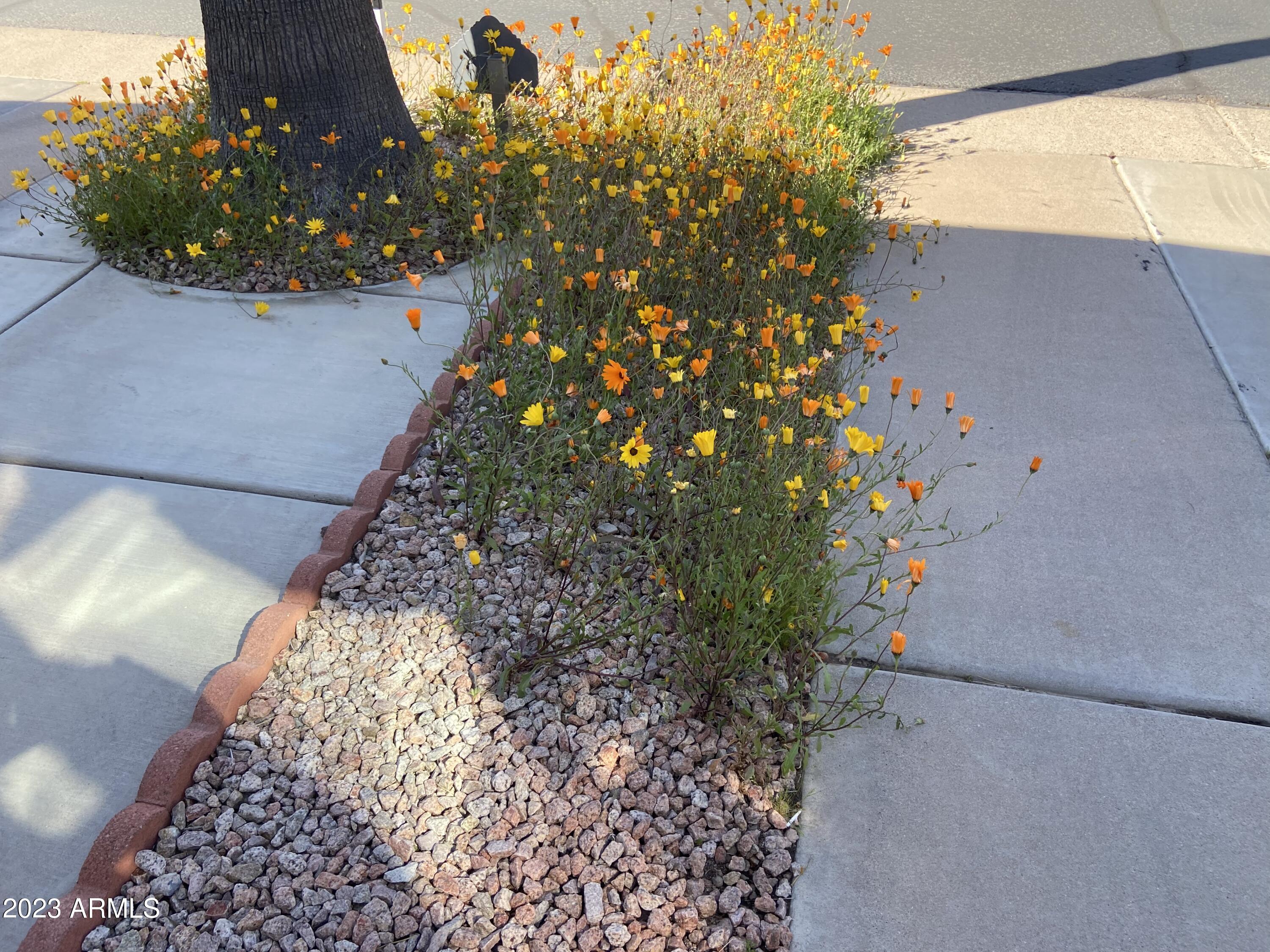 ROADHAVEN RESORT OF APACHE JUNCTION - Land