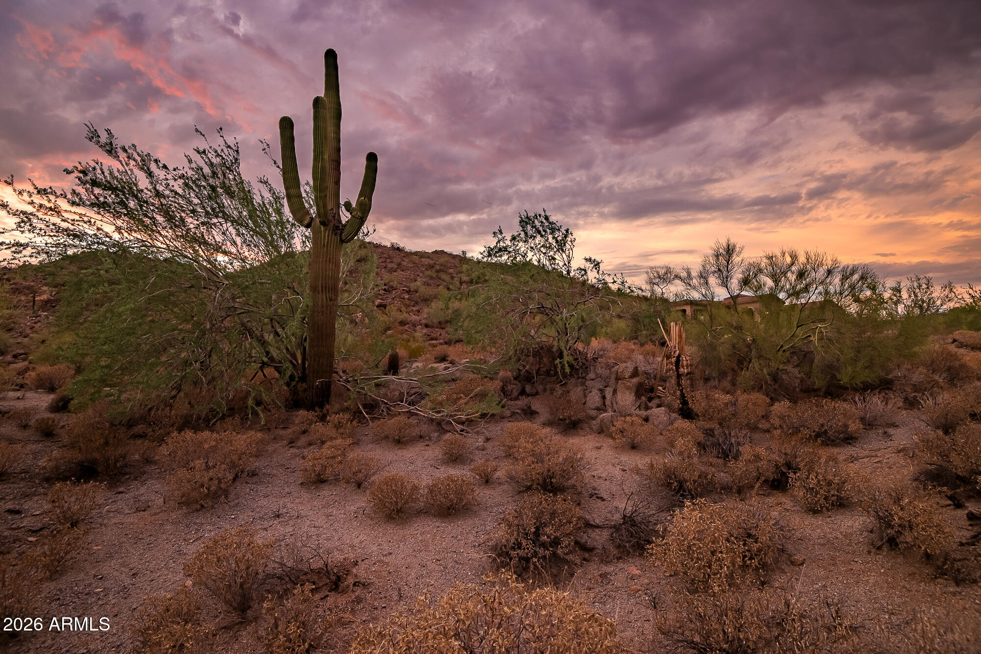 EAGLE CANYON AT LAS SENDAS - Land