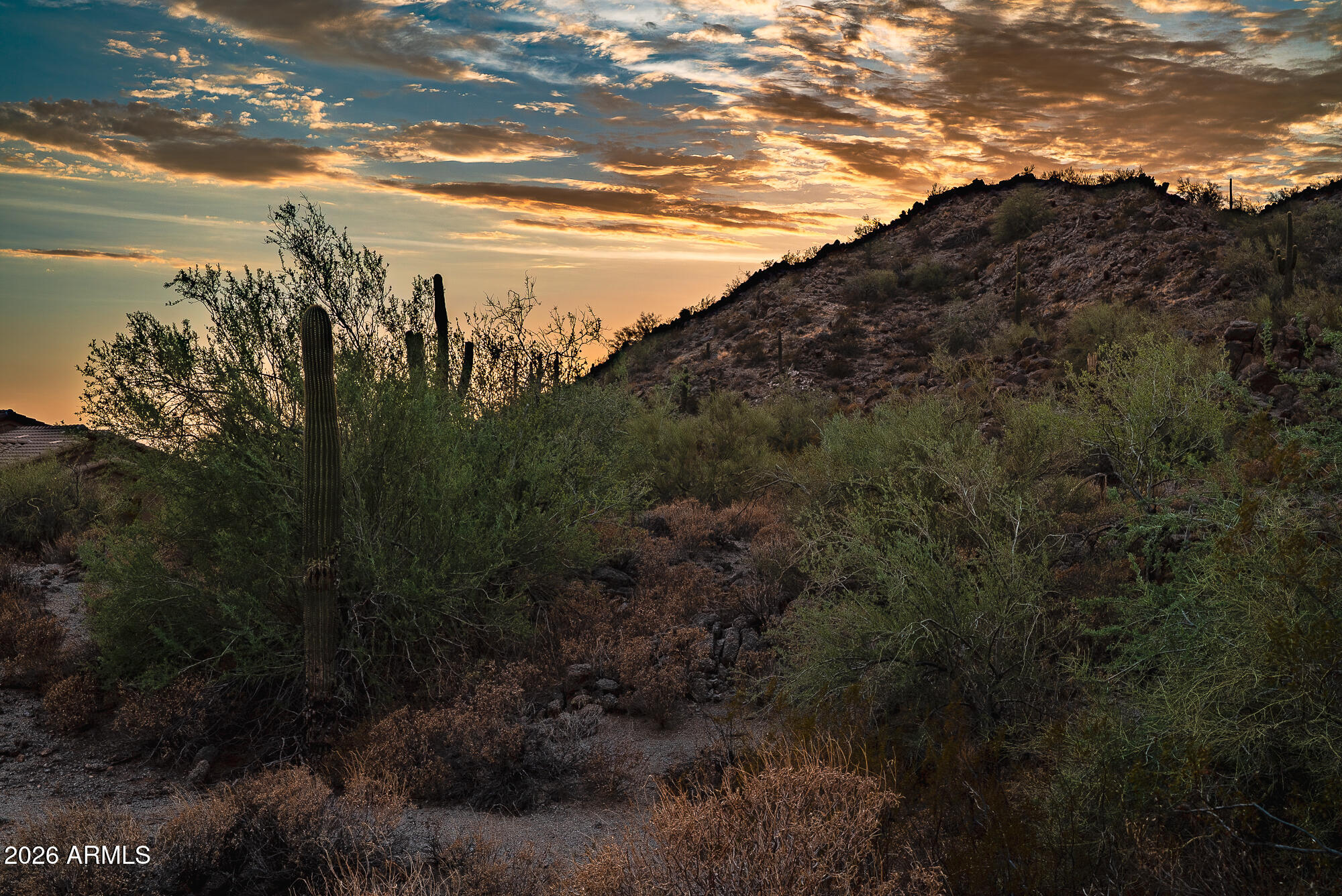 EAGLE CANYON AT LAS SENDAS - Land