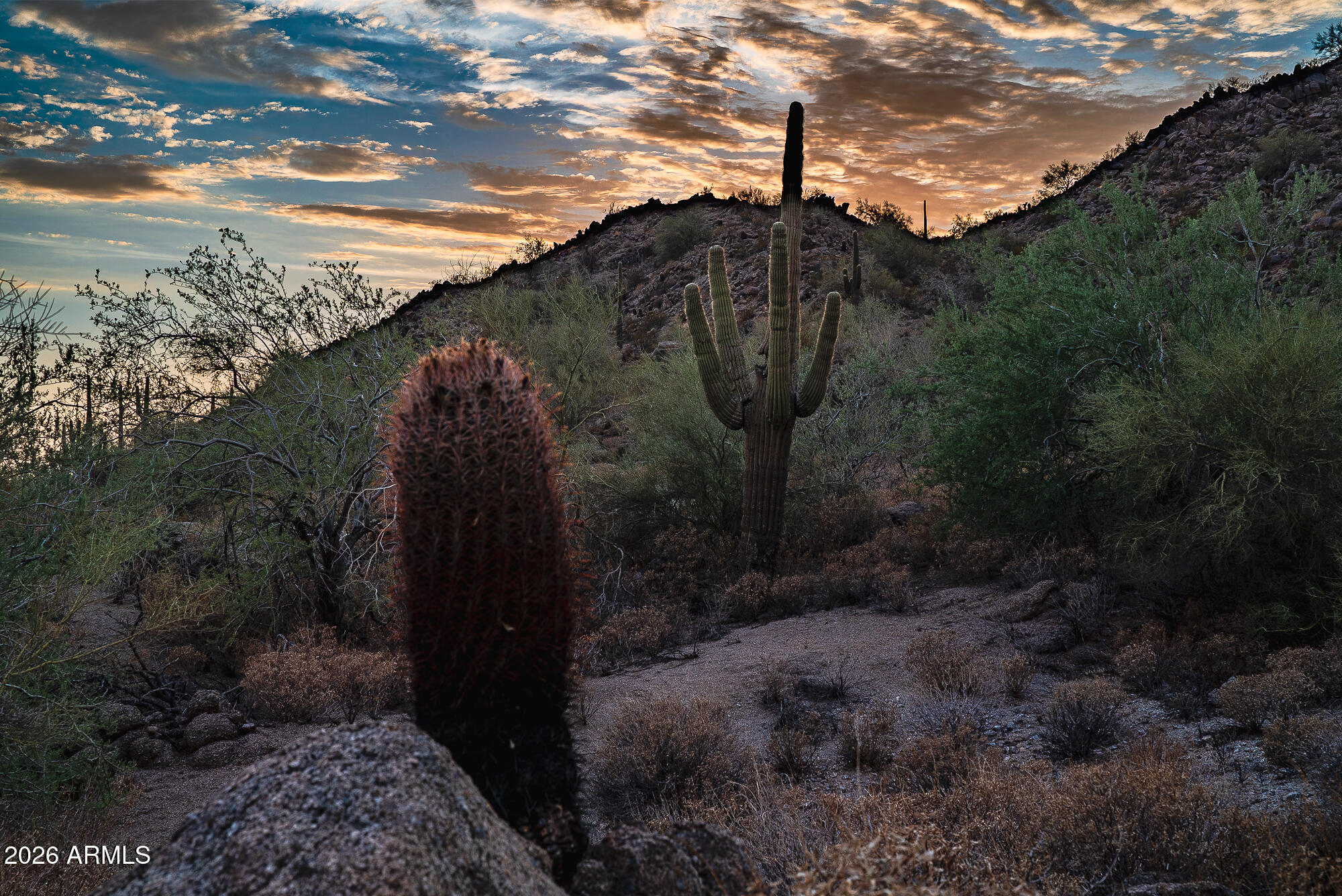 EAGLE CANYON AT LAS SENDAS - Land