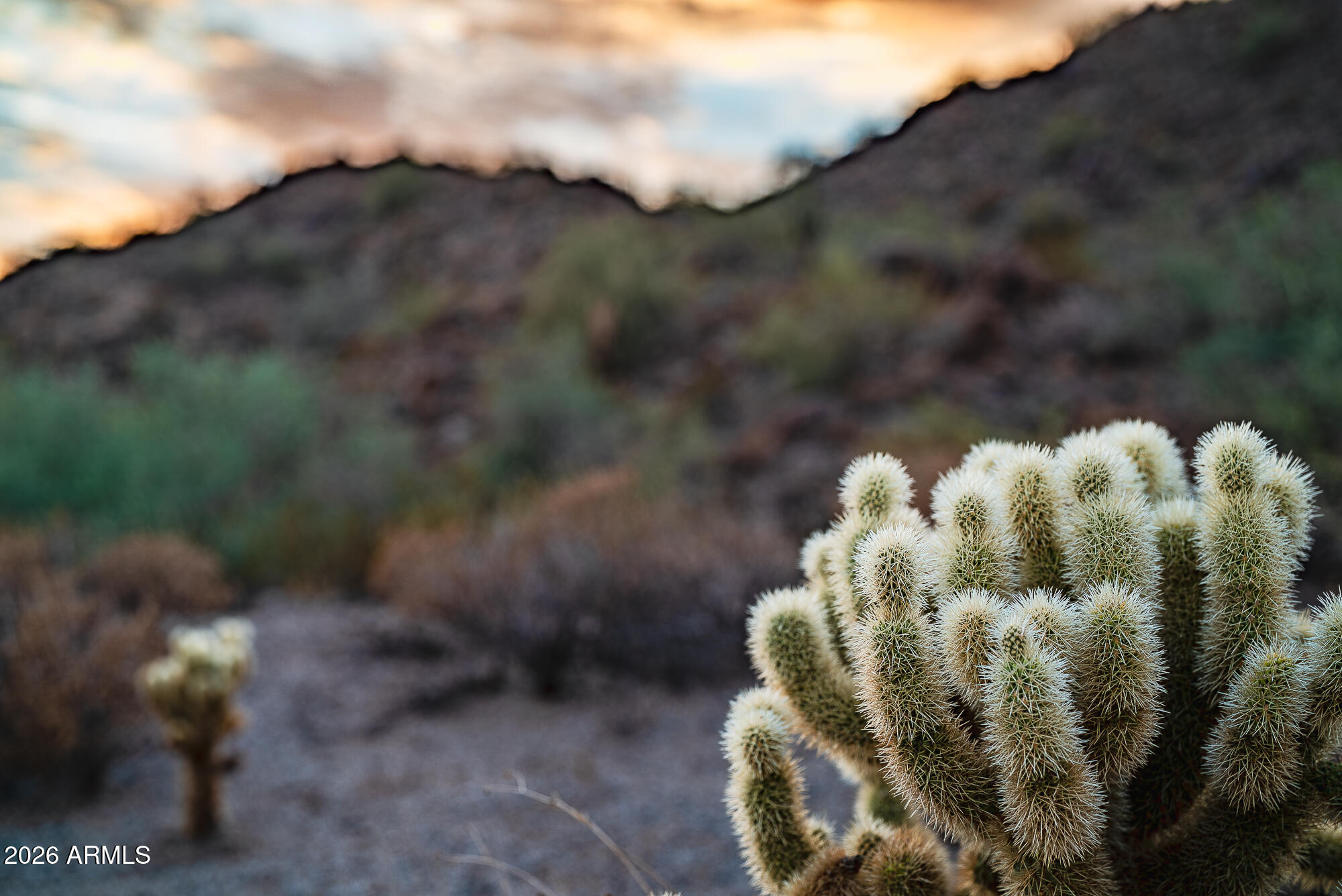 EAGLE CANYON AT LAS SENDAS - Land