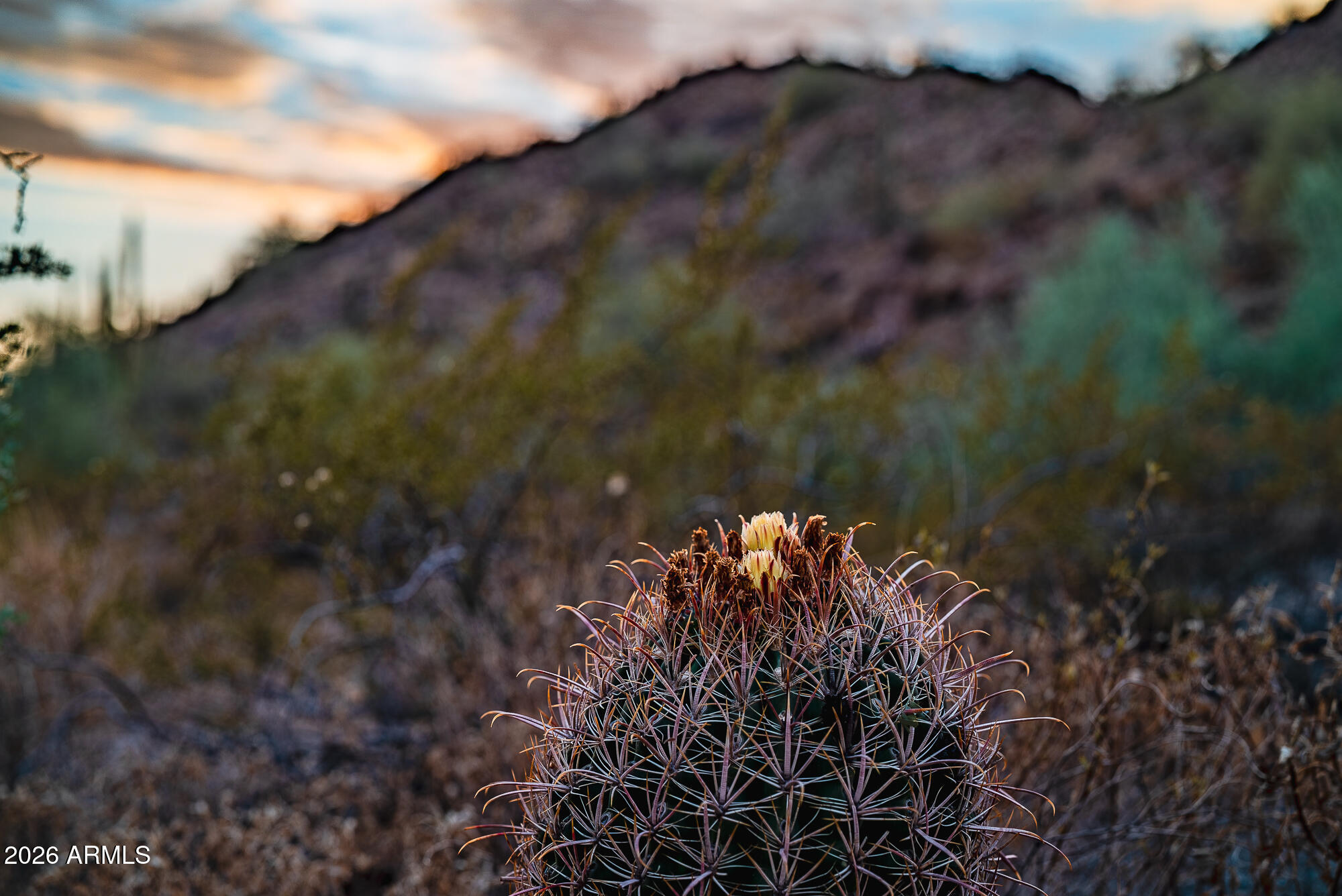 EAGLE CANYON AT LAS SENDAS - Land