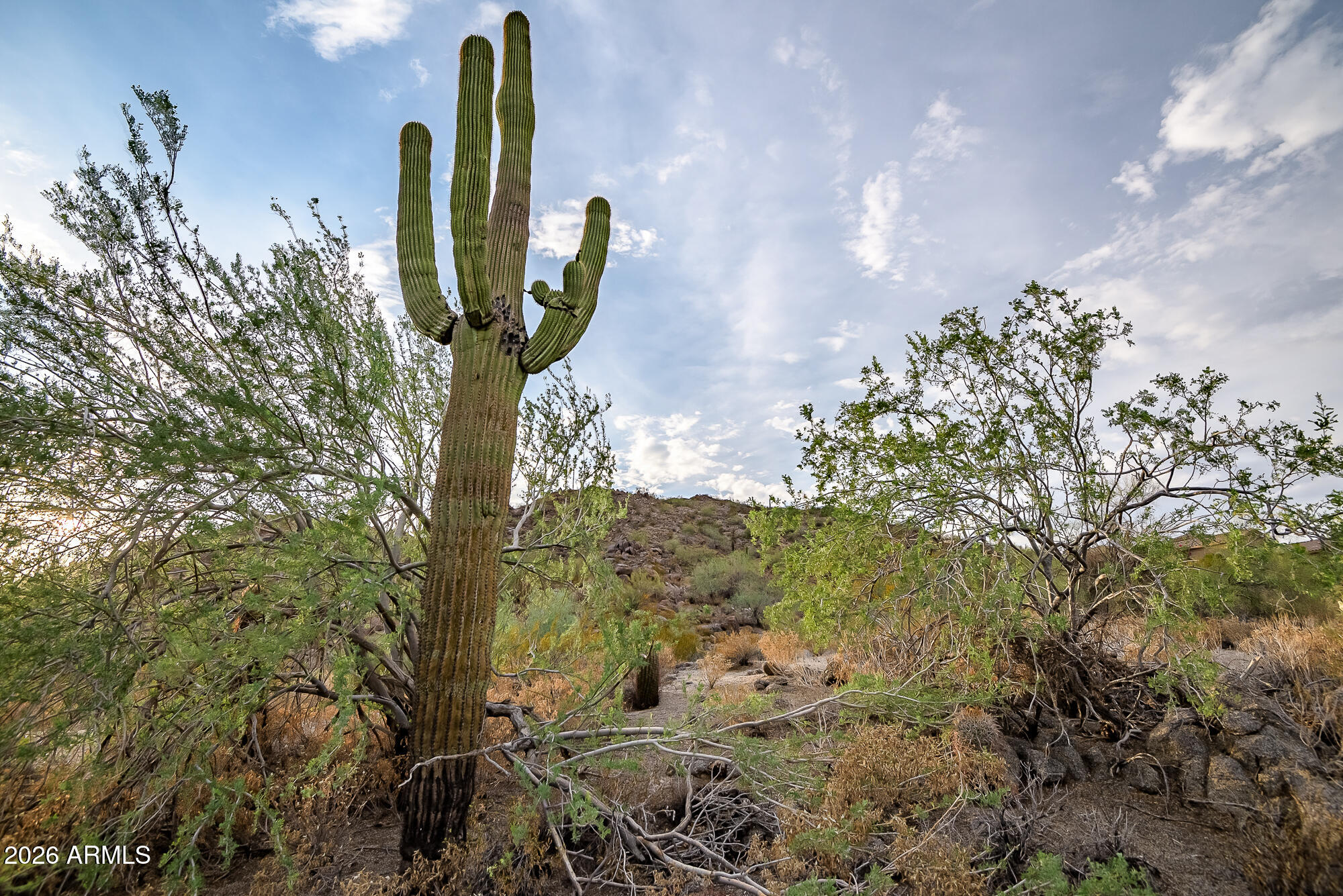 EAGLE CANYON AT LAS SENDAS - Land