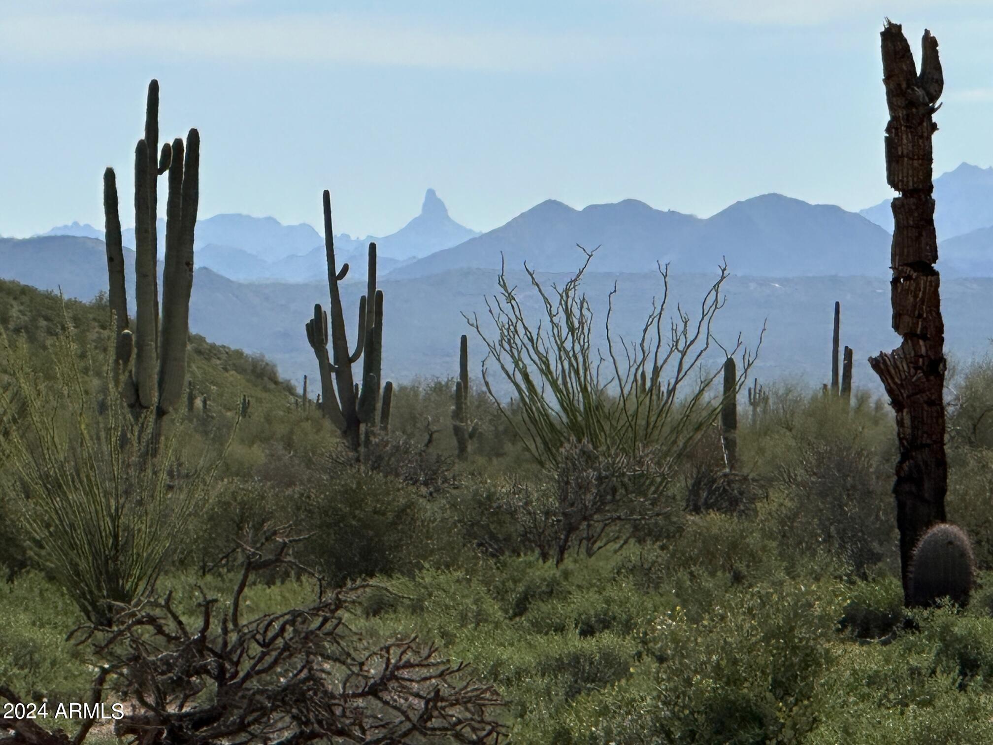 Build your dream home in the high Sonoran desert. beautiful sunsets, natural cacti, Saguaro and ocotillo, One of the nicest streets with new custom built homes. Water is hauled or drill a well. Electric close by, SRP. Live off the Grid. Builder contacts available. HORSES OK!