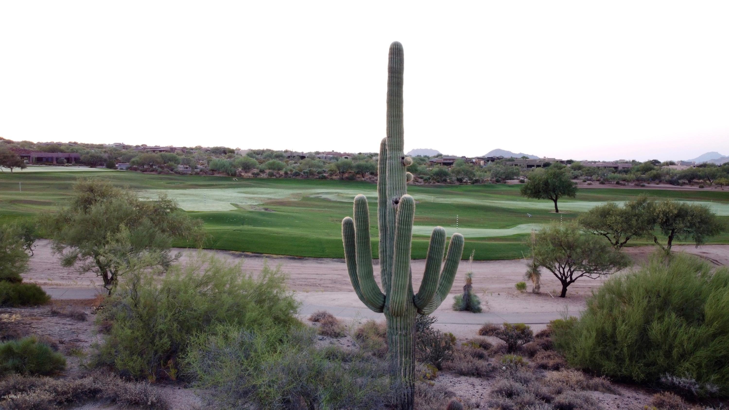 DESERT MOUNTAIN - Residential