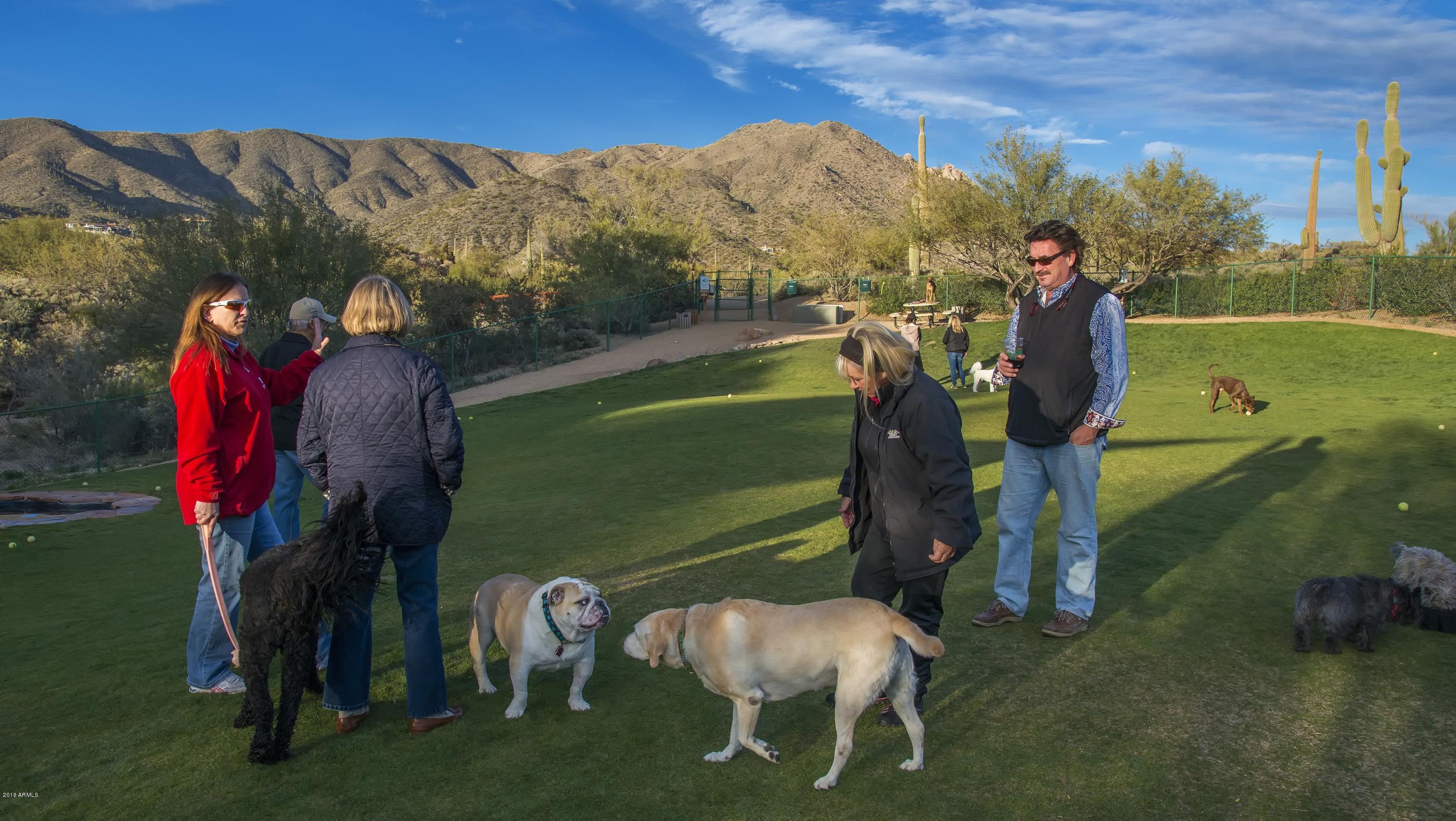 Desert Mountain - Residential