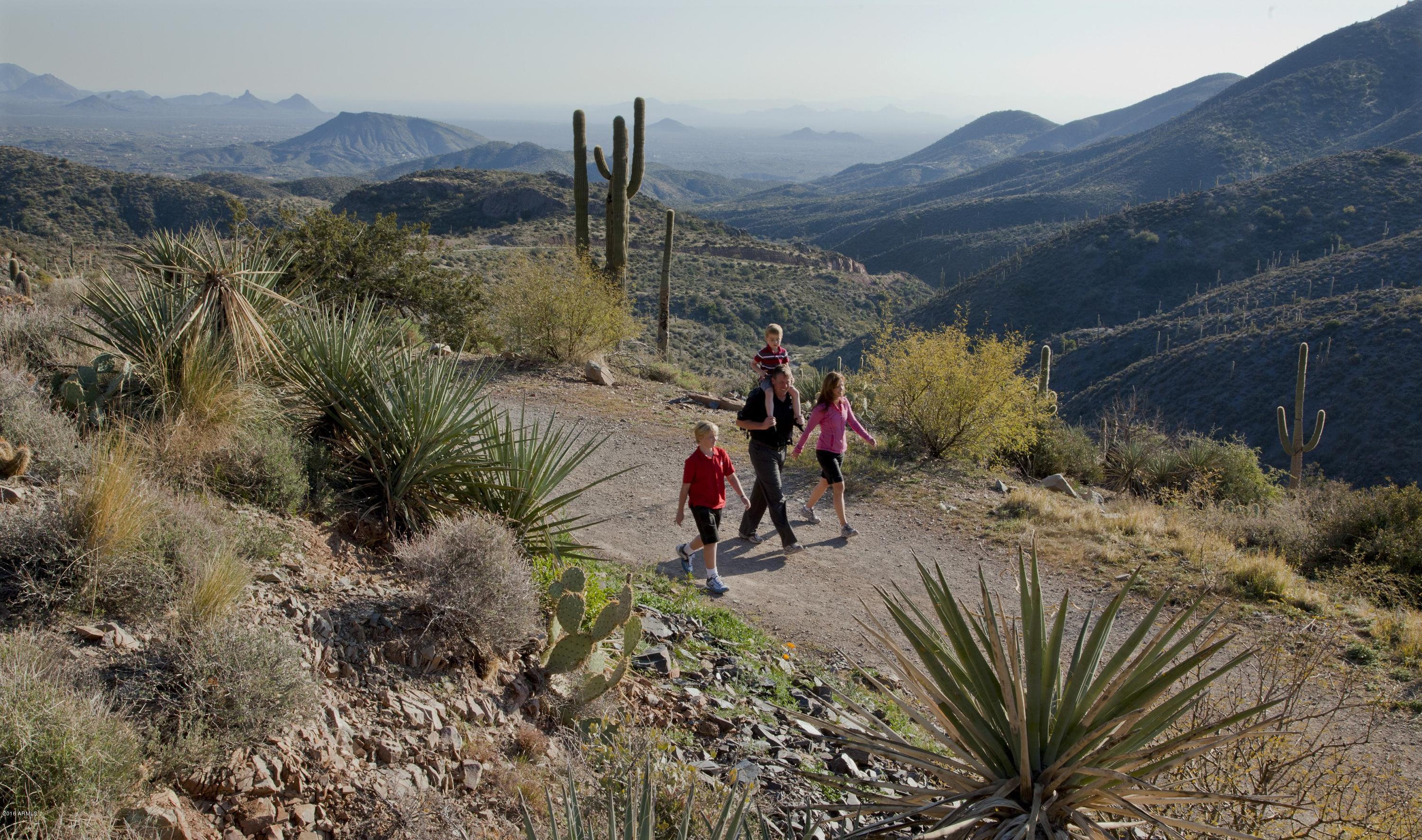 Desert Mountain - Residential