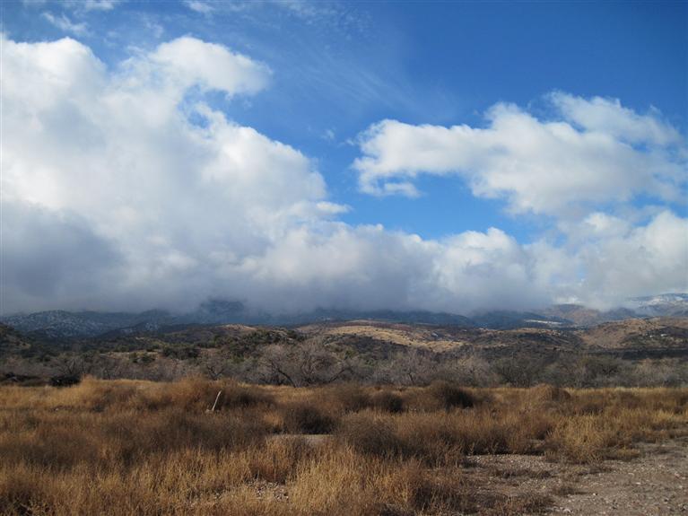 The price has been reduced! The property has vineyard potential. The address in the MLS is for locational purposes only and is not an assigned address. A color survey map is available. The property consists of 12 parcels containing a total of 1,504.8 acres in the mountains between Cottonwood and Jerome. The parcel numbers are 401-03-020A, 021, 023A, 023B, 023C, 023D, 023E and 406-09-003C, 003D, 003E, 005A and 005B. THE MINERAL RIGHTS ARE INCLUDED IN THE SALE. Some of the adjoin properties are owned by major mining companies. The price works out to $3,456 per acre, a quarter of the owner's asking price prior to listing the property in the MLS. A Forest Service trade was once considered, but the owners were not content with what the USFS had available for trade.