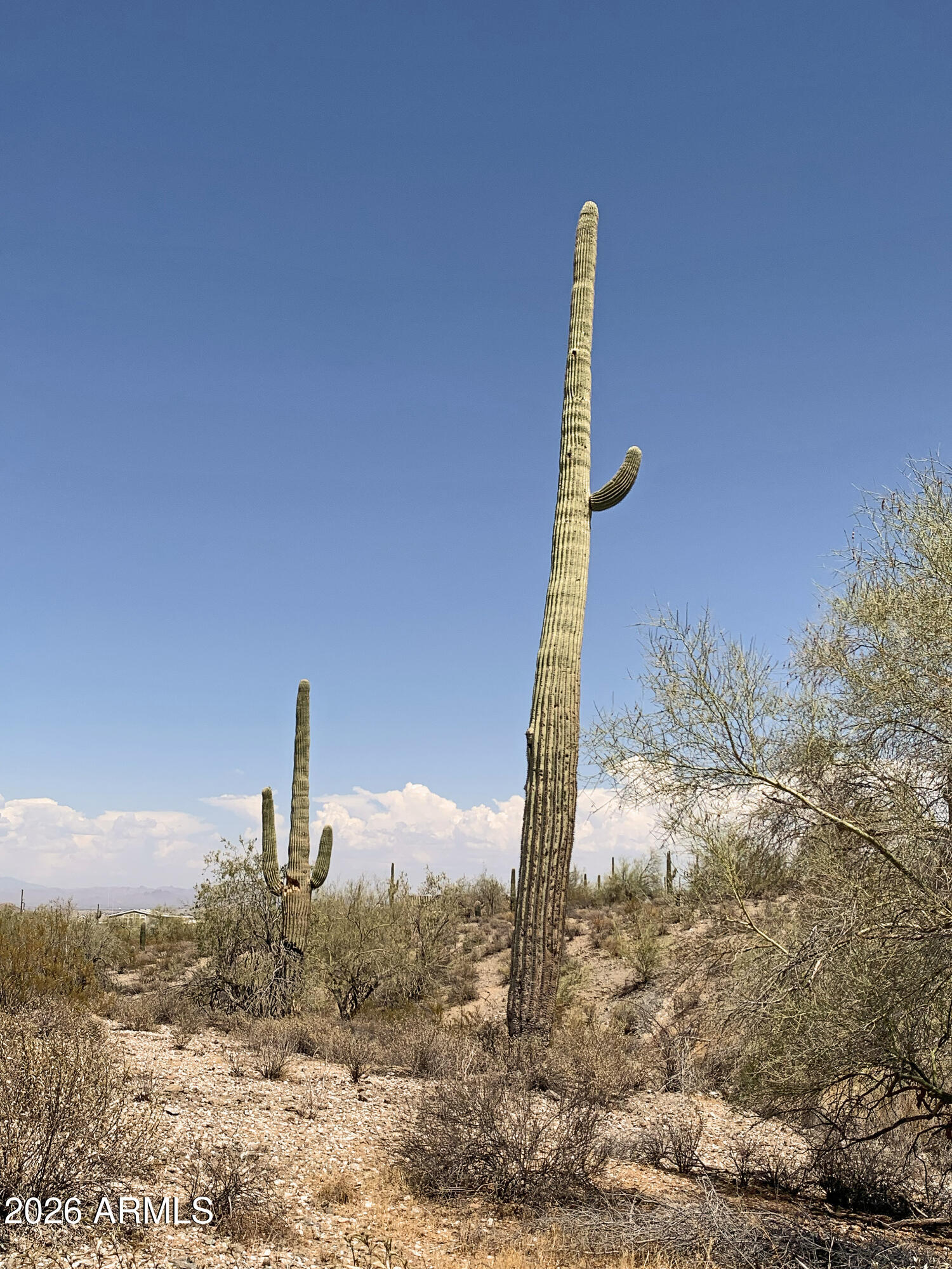 SAN TAN RANCHES UNIT 6 - Land