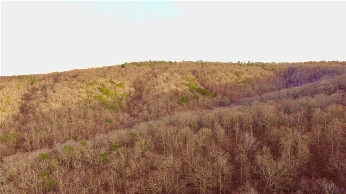 Southern Hills #iii - Land