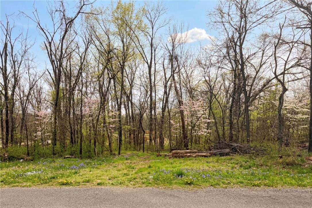 This premium offers exceptional visibility and strong demand in one of the area’s fastest-growing corridors. Surrounded by newly completed homes, it’s ideally positioned for immediate development. With nearby access to upscale lake amenities such as the Lakepoint Restaurant & Marina and world class trails like Tunnel Vision & the Huntley Gravity Zone, it’s easy to see why this is the most requested lot in the portfolio. Recent PERC TEST REPORT INCLUDED makes this a ready-to-build opportunity for builders or investors looking to capitalize on momentum in the thriving community of Bella Vista. Secure your slice of paradise before prices escalate with upcoming improvements such as the Oz Trails Bike Park & the Little Sugar Creek Restoration Project, & Phase III of the Bella Vista Master Trail Plan. This lot is part of a 4 LOT PACKAGE DISCOUNT where you can BUY ALL 4 LOTS FOR A TOTAL OF ONLY $100K! See MLS #’s 1341411, 1341353, 1341315, & 1341279. 2-3 lot discounts also available, ask for details.