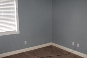 Hornett Estates - Residential