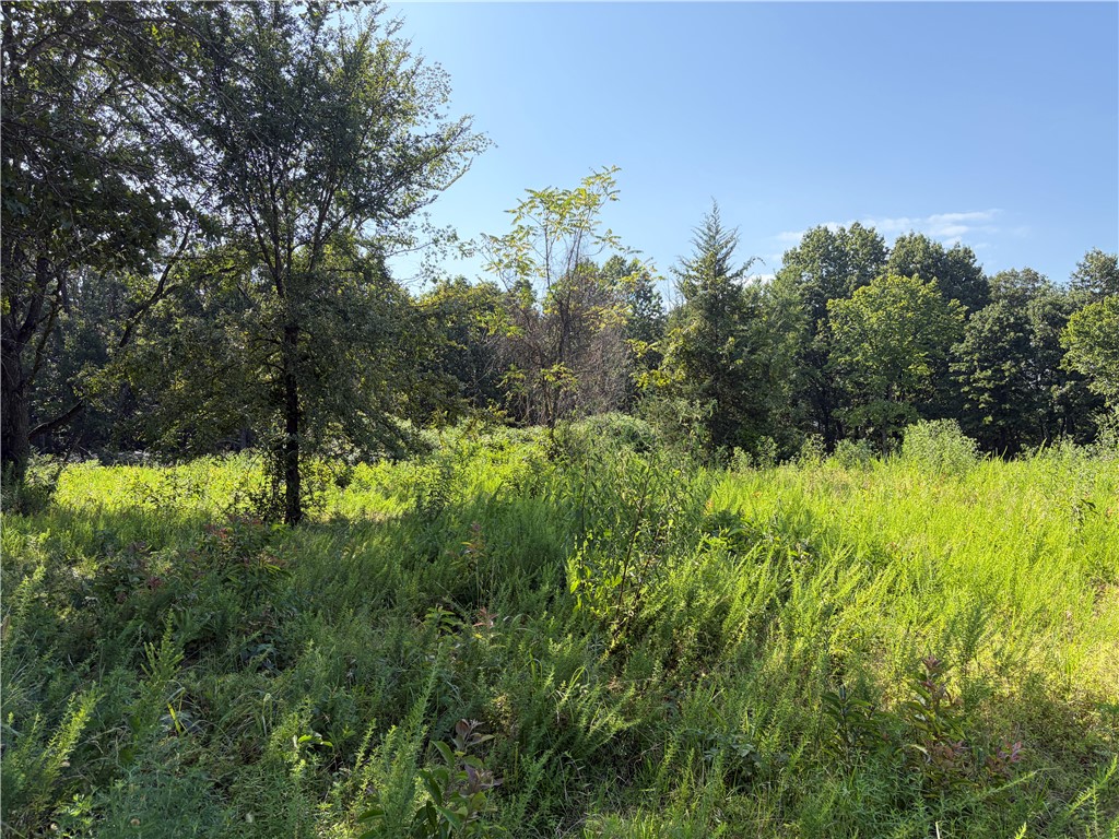 City Lake Estates Sub Rurban - Land