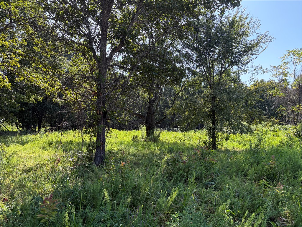 City Lake Estates Sub Rurban - Land