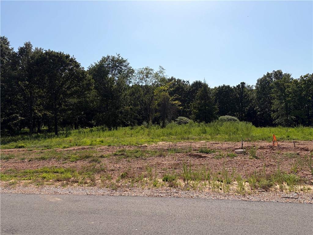 This 1.01 acre lot is one of the most desirable lots in the City Lake Estates. This lot is level, cleared, and ready to build. The lot has been perc tested and has a 5 bedroom ADH septic approval. Its location offers seclusion yet close to Siloam Springs and Gentry. This lot requires 2,200 square foot minimum with city water and electric on site. Seller will build to suit if desired. Adjacent lot also for sale (MLS #1356458)