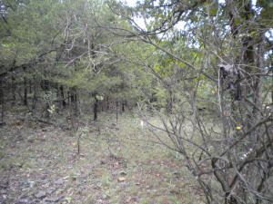 Mostly wooded 3.78 acres M\L near Bull Shoals Lake. Would be great parcel for hunting or deer camp. Within walking distance to Corp of engineers property on Bull Shoals Lake. County road frontage.