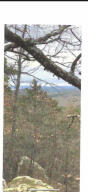 Great land and great price for 40 acres.