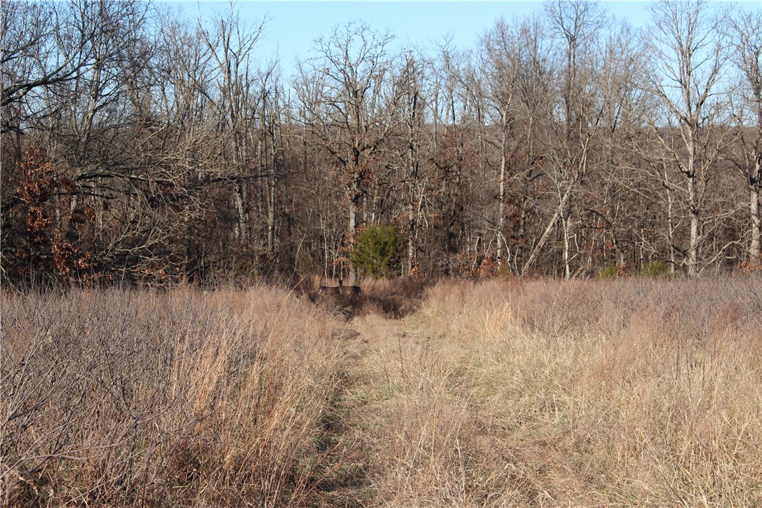 01-16-32 - Land