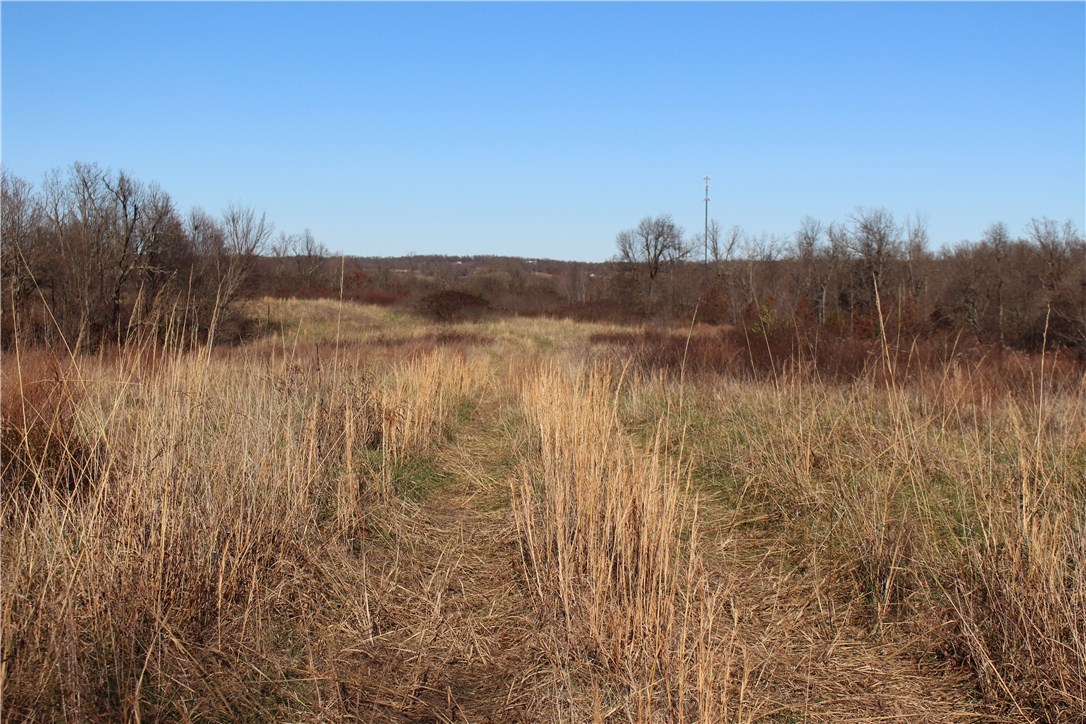 01-16-32 - Land