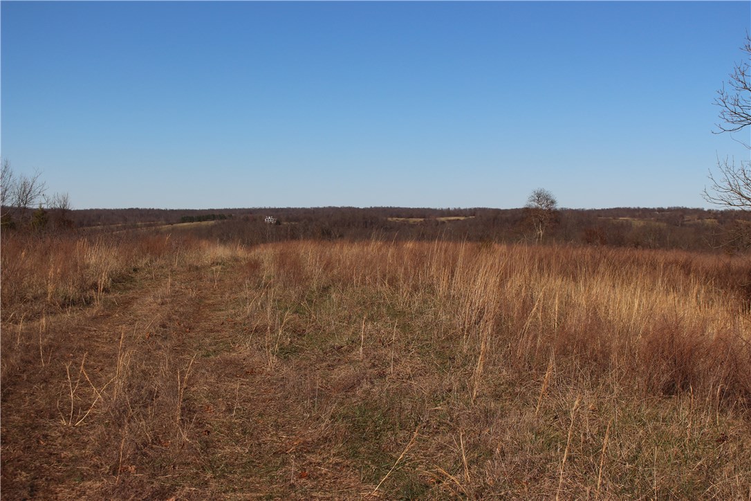 01-16-32 - Land