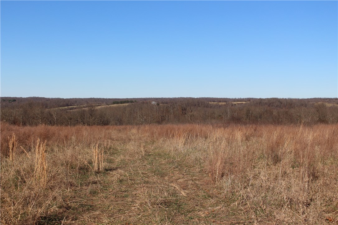 01-16-32 - Land