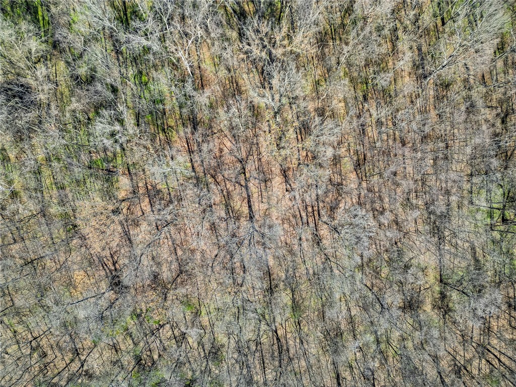 172822 - Land