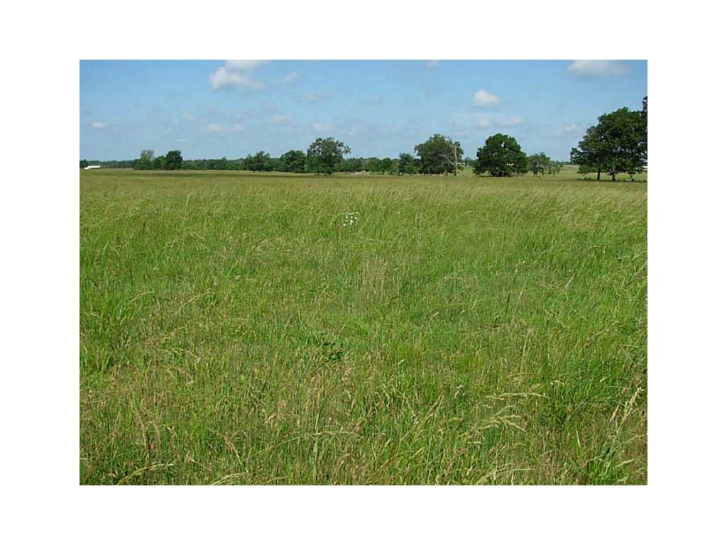 Residential or Agriculture. About 7 miles Walmart Home Office. About 1.5 miles from Bypass.  Level/Gently Rolling. Mostly Clear/Open Pasture. Septic Needed. Electric & Water at Street. Partially Fenced. If you map-view this property, you'll see chicken houses near-by. Those buildings no longer used for chicken farm business. This listing is Tract 5. Adjoining Acreage is also for Sale: Tract 1 ML1065558, Tract 4 ML1065566.  Also refer to ML1052565, ML1052566, ML708569.