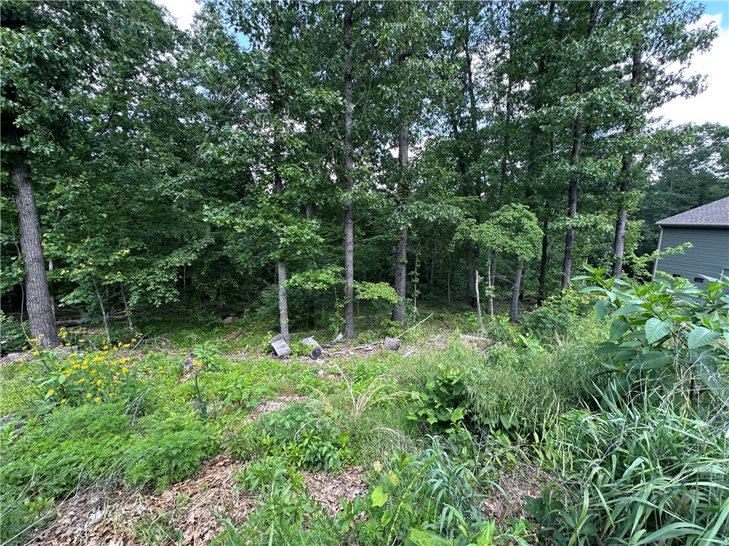 Enjoy the beauty of Bella Vista with this lot located on the east side of Bella Vista Highway! This property offers a convenient location close to nearby trails and is about 10 minutes from either Lake Ann or Lake Brittany. A great opportunity to own land near outdoor recreation, nature, and all the amenities Bella Vista has to offer. Buyers to verify all utilities.
