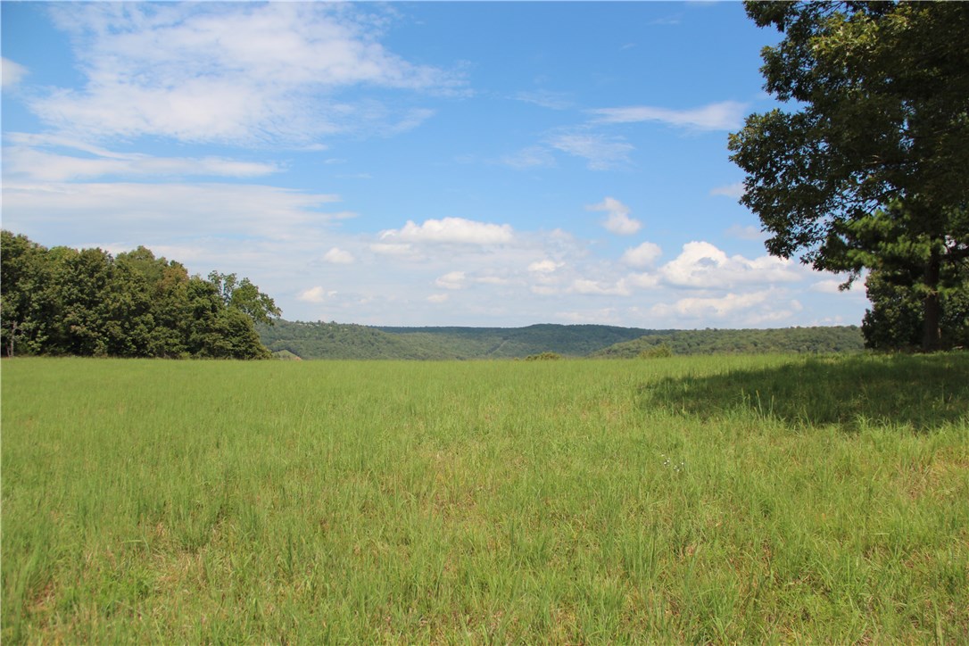 no - Farm