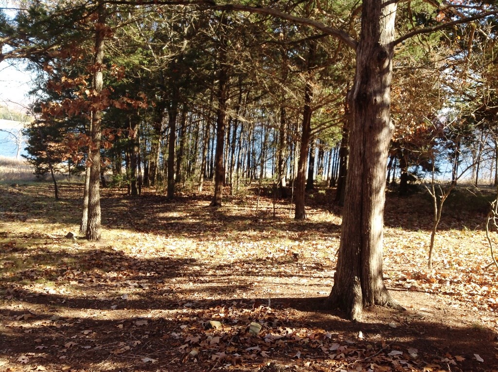 Lot in subdivision. Lakefront, boat slip with an easy walk.