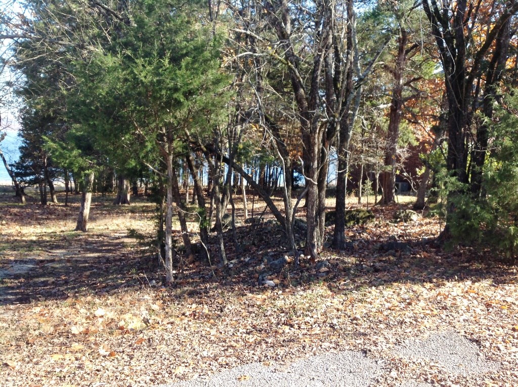 Forest Hills I Lost Bridge Village - Land