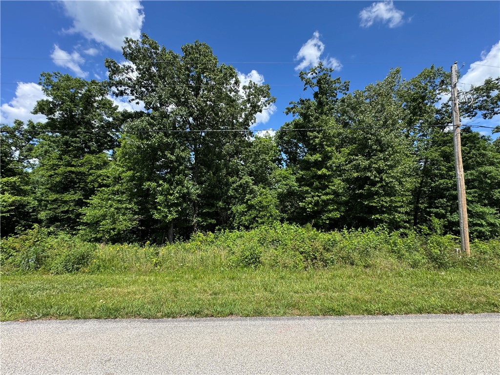 Discover the opportunity to build your dream home on this lot in Bella Vista. Surrounded by the natural beauty that makes Northwest Arkansas so desirable, this property offers a peaceful setting with the flexibility to create a home tailored to your lifestyle. Enjoy convenient access to Bella Vista's renowned amenities, including golf courses, lakes, parks, walking and biking trails, recreation centers, and community events. Located just minutes from shopping, dining, and everyday conveniences, this lot combines privacy, recreation, and accessibility in one exceptional location.