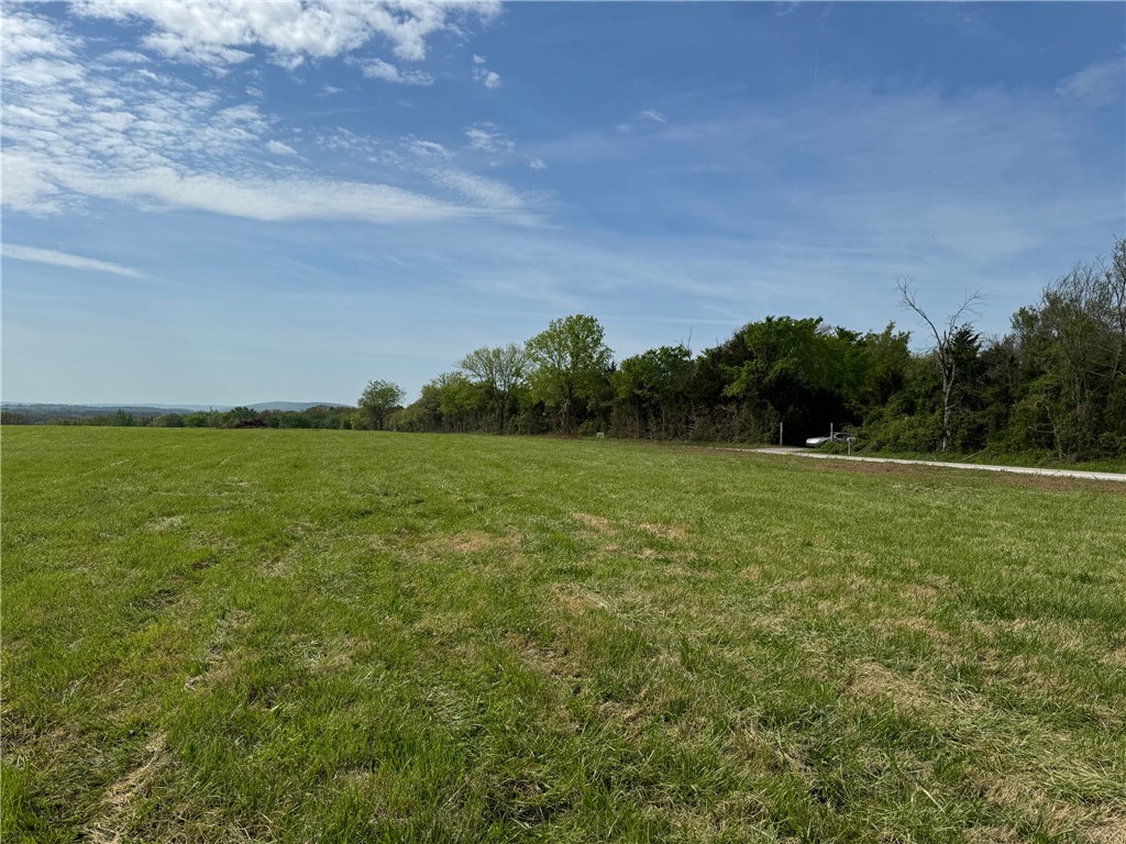 15 Acres! Beautiful views on blacktop road 15 minutes to Farmington & 15 minutes to Lincoln or Prairie Grove. Large, beautiful tracts with awesome views. Soil test has been done. Splits are completed. No mobiles or chicken houses. Rural water is available from Lincoln. More acreage available. Agent owned. Acreage is subject to change. See ML# 1342729, 1342731-1342736