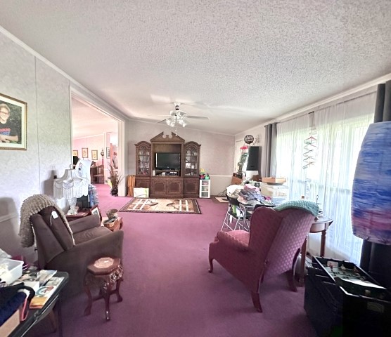 None - Residential